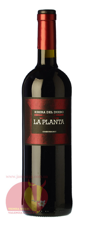Вино красное Ла Планта 2017, Рибера дель Дуэро Д.О. La Planta D.O. Ribera del Duero